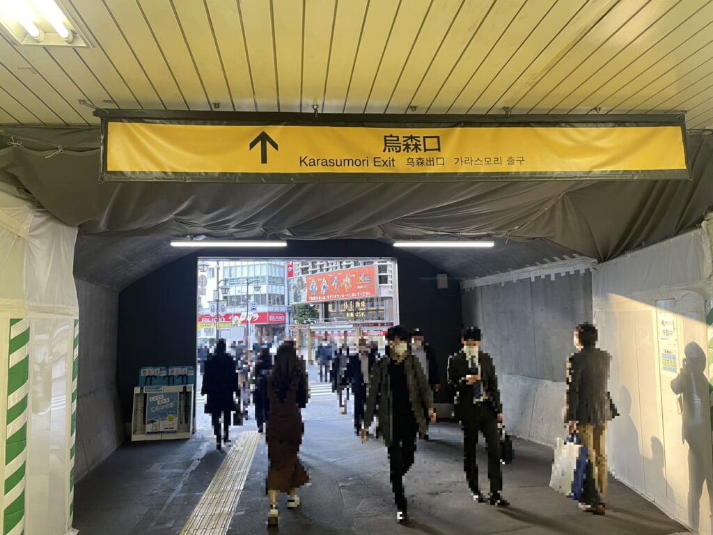 Karasumori Exit, Shimbashi Station