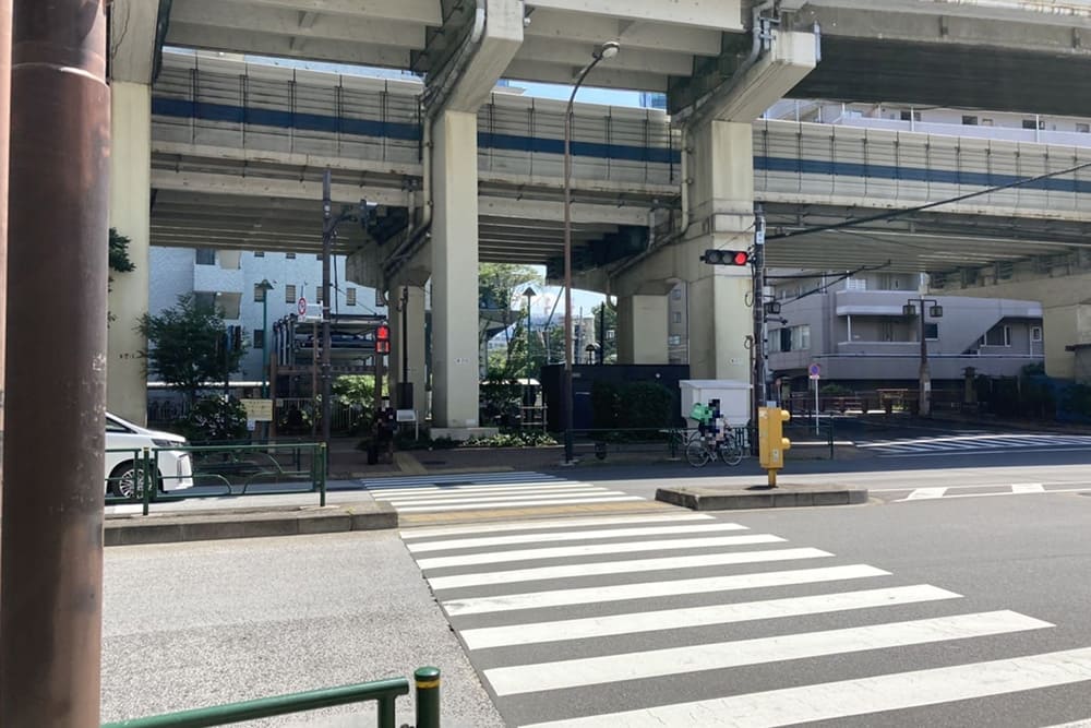 Pedestrian Crossing and Metropolitan Highway