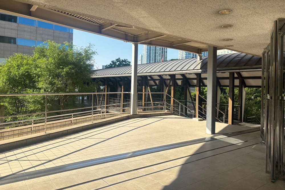 A view of the covered skywalk curving and stretching through the lush green trees.