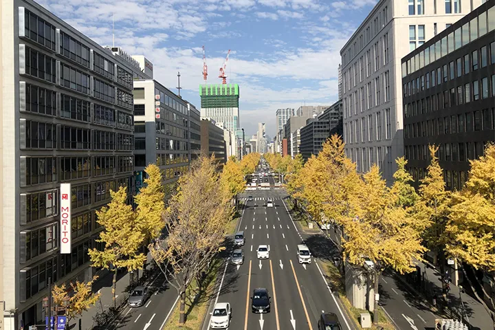An elevated view overlooking Midosuji in autumn, where rows of vibrant yellow ginkgo trees line both sides of the road and stretch as far as the eye can see.