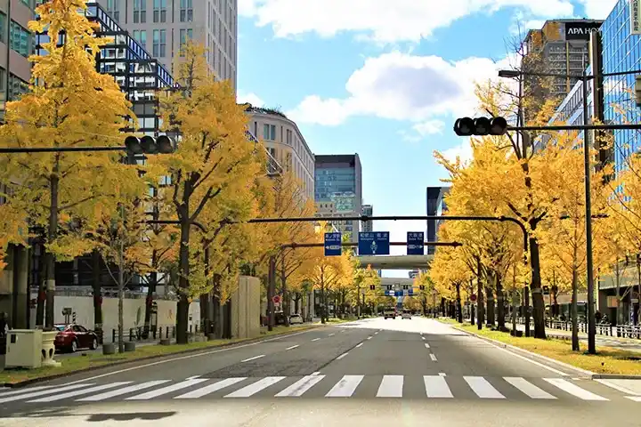The ginkgo-lined avenue on Midosuji.