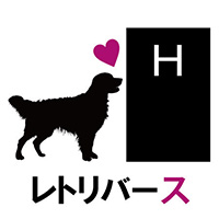お客様の声6