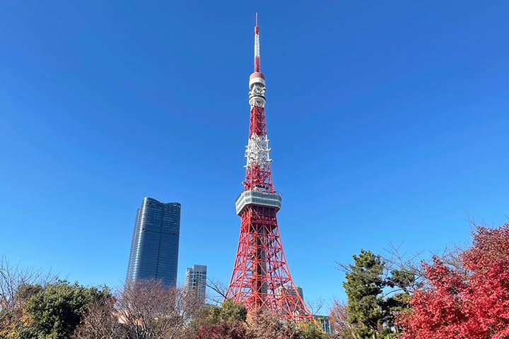 芝公園から見える東京タワー