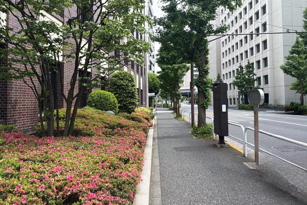 「オームビル」前の歩道。