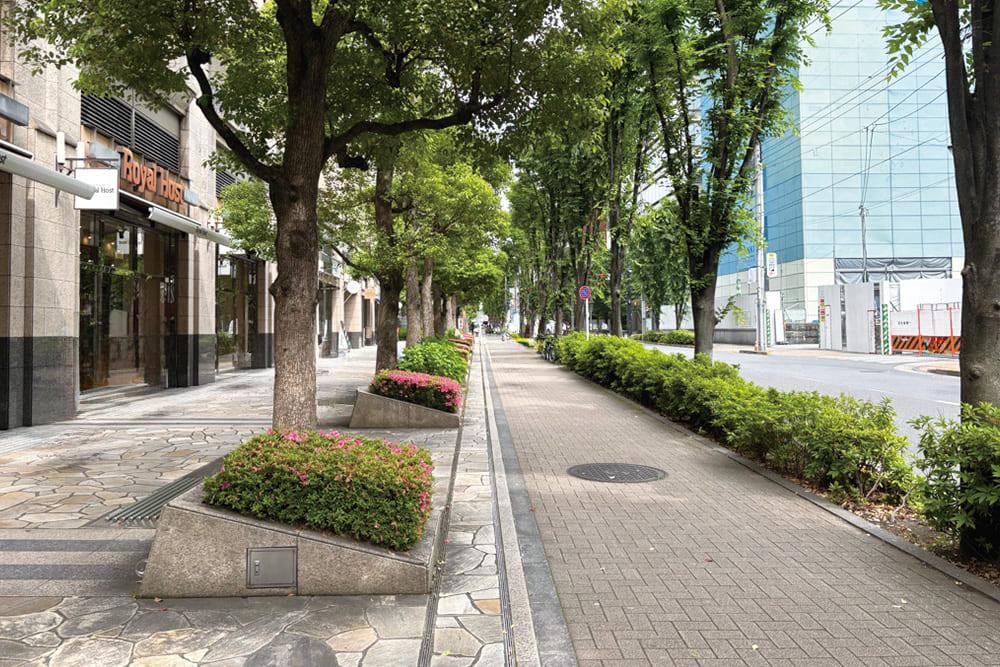 「Royal Host」前の歩道。石畳とレンガ敷きの道が並び、街路樹と植え込みが続く。