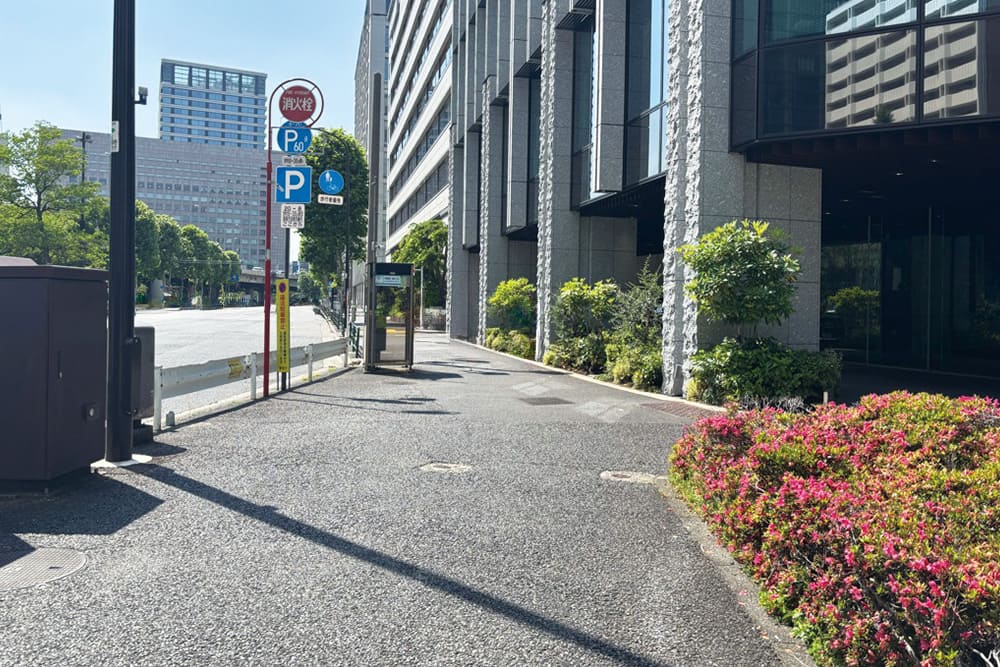 大鵬薬品工業株式会社前の歩道。