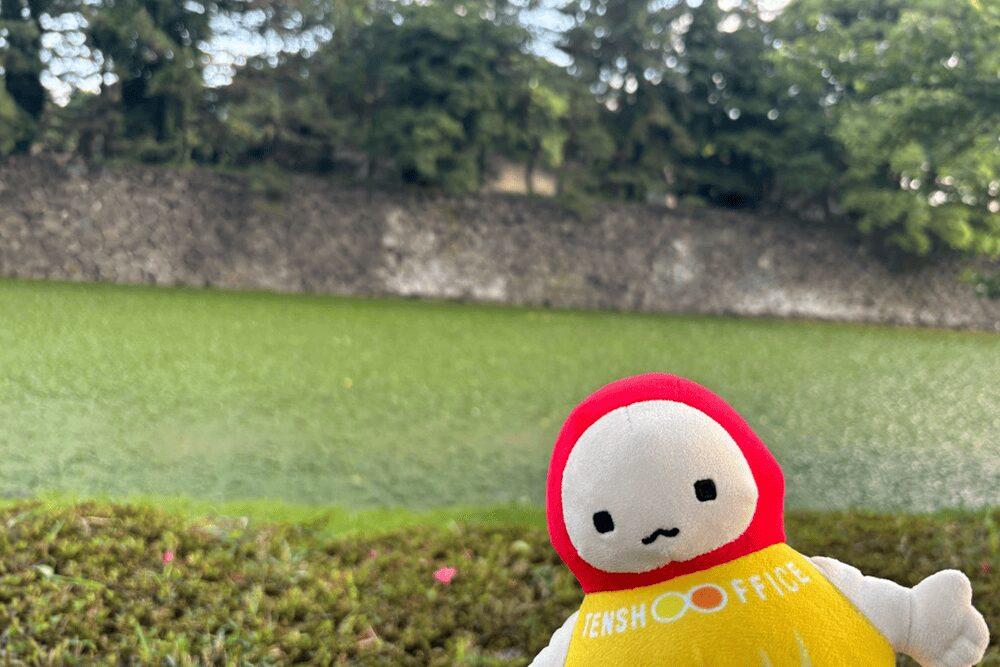 てんしょうくんと皇居の濠_濠の水が藻で一面緑色に