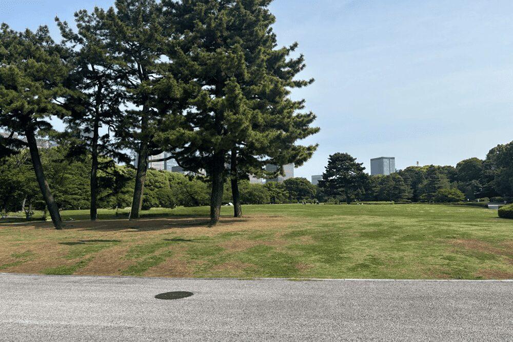 大奥跡、奥に見えるのは本丸大芝生
