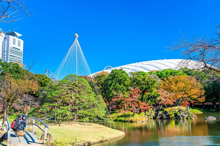 小石川後楽園の庭園風景。紅葉した木々と池の向こうに東京ドームの白い屋根が見える。