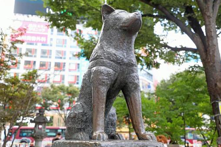 渋谷駅前にある忠犬ハチ公の銅像。背景にはビルや木々が写っている。