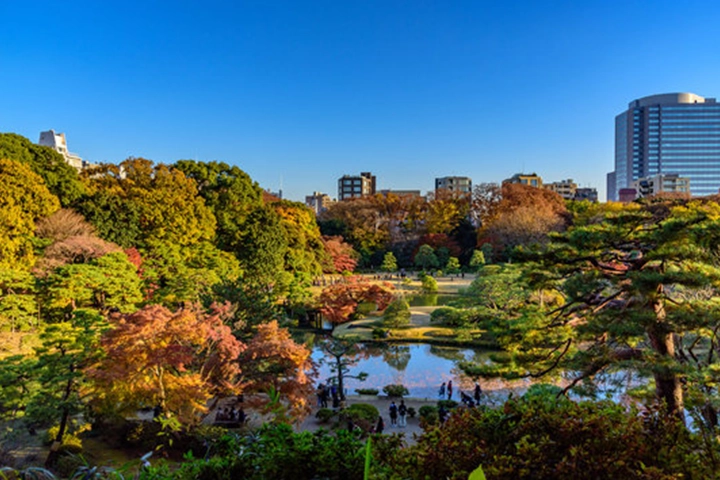 六義園の庭園。池の周りには紅葉した木々が茂り、遠景には高層ビルが並んでいる。
