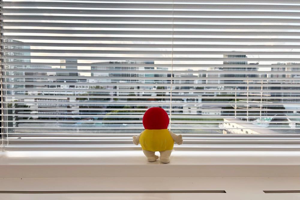 天翔オフィス天王洲ファーストタワーの10名以上の大部屋完全個室の窓からの景色。ブラインド越しに景観を見るてんしょうくんぬいの後ろ姿