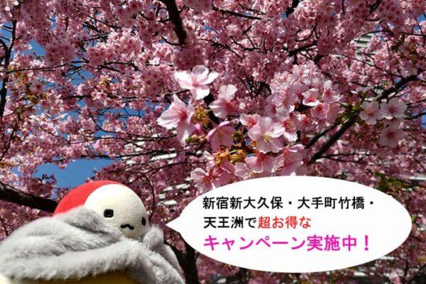 満開の河津桜と「てんしょうくんぬい」。吹き出しには、新宿新大久保・大手町竹橋・天王洲での超お得なキャンペーン実施のお知らせが書かれています。